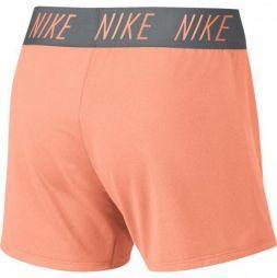 Шорти дитячі Nike Dry Trophy Short crimson pulse/cool grey Шорти дитячі Nike Dry Trophy Short crimson pulse/cool grey