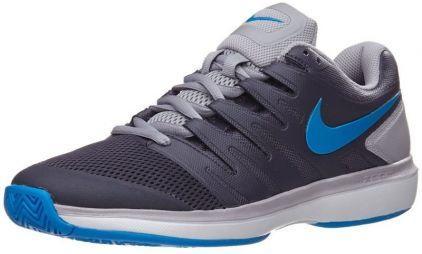 Тенісні кросівки чоловічі Nike Air Zoom Prestige HC gridiron/photo blue Тенісні кросівки чоловічі Nike Air Zoom Prestige HC gridiron/photo blue