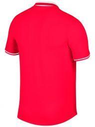 Теннисная футболка мужская Nike Court Advantage Polo Classic bright crimson/white/dune red
