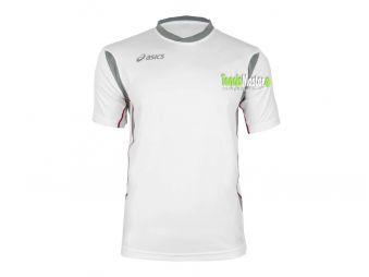 Тенісна футболка чоловіча Asics Goran T-Shirt white/grey