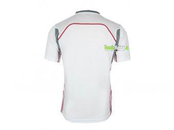 Тенісна футболка чоловіча Asics Goran T-Shirt white/grey