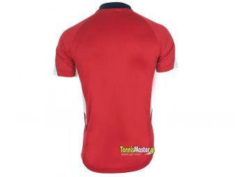 Тенісна футболка чоловіча Asics Vole red/white поло