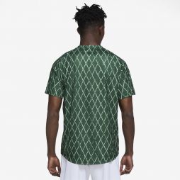 Теннисная футболка мужская Nike Court Victory Top Printed george green/white