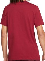 Теннисная футболка мужская Nike Spring Seasonal Court T-Shirt pomoegranate