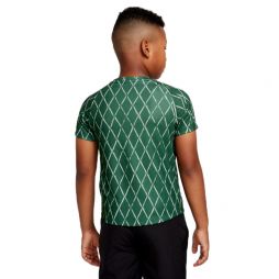 Тенісна футболка дитяча Nike Court Victory SS Top Printed gorge green/white Тенісна футболка дитяча Nike Court Victory SS Top Printed gorge green/white