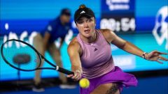 СВІТОЛІНА ВИХОДИТЬ ДО ЧВЕРТЬФІНАЛУ ТУРНІРУ WTA. СТАРОДУБЦЕВА ЗІГРАЄ У ФІНАЛІ КВАЛІФІКАЦІЇ US OPEN.