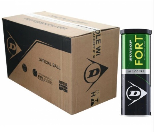 Dunlop Fort TS All Court 24-банки