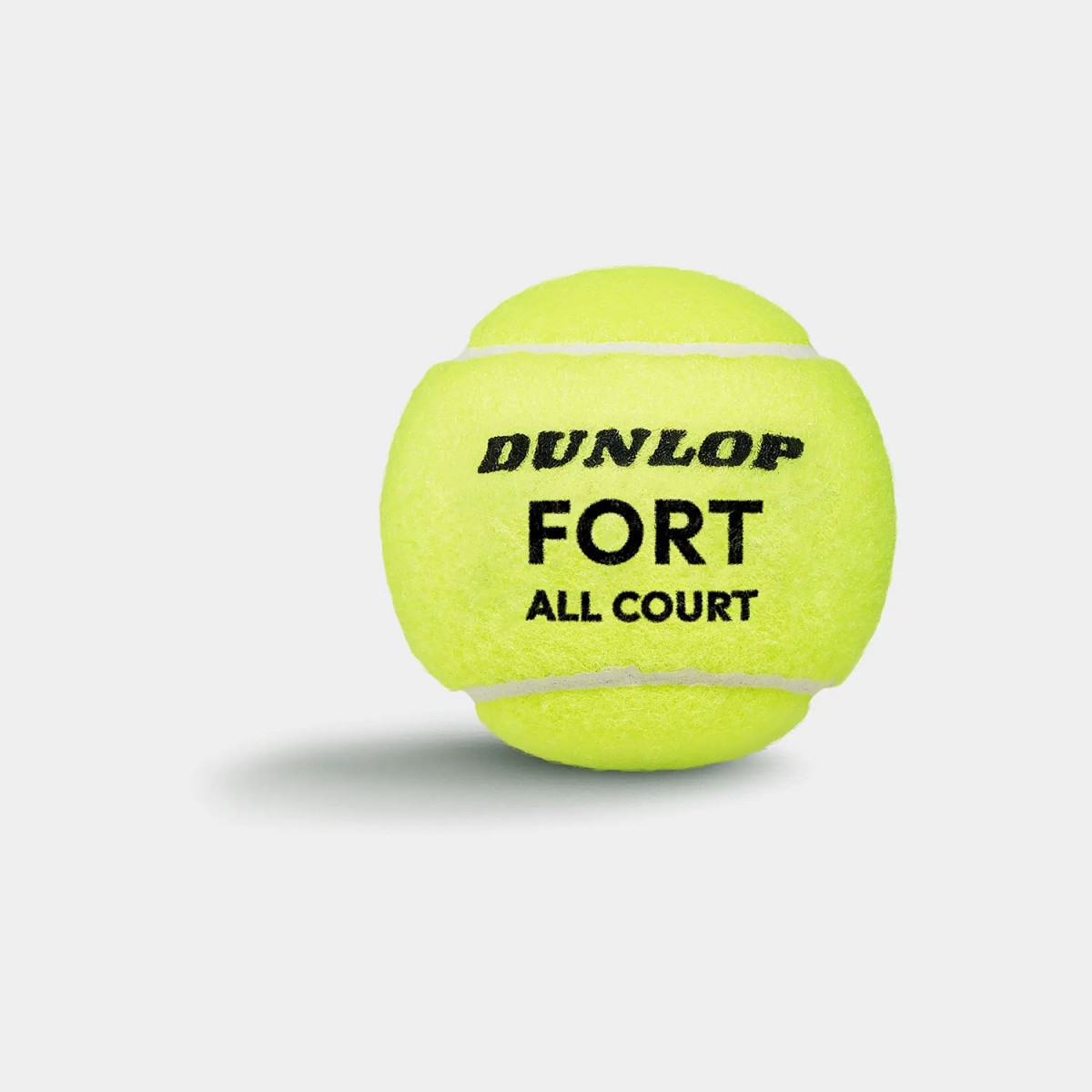 Dunlop Fort TS All Court 4-Ball
