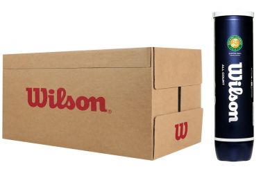 Wilson Roland Garros 4-Ball 18 банок